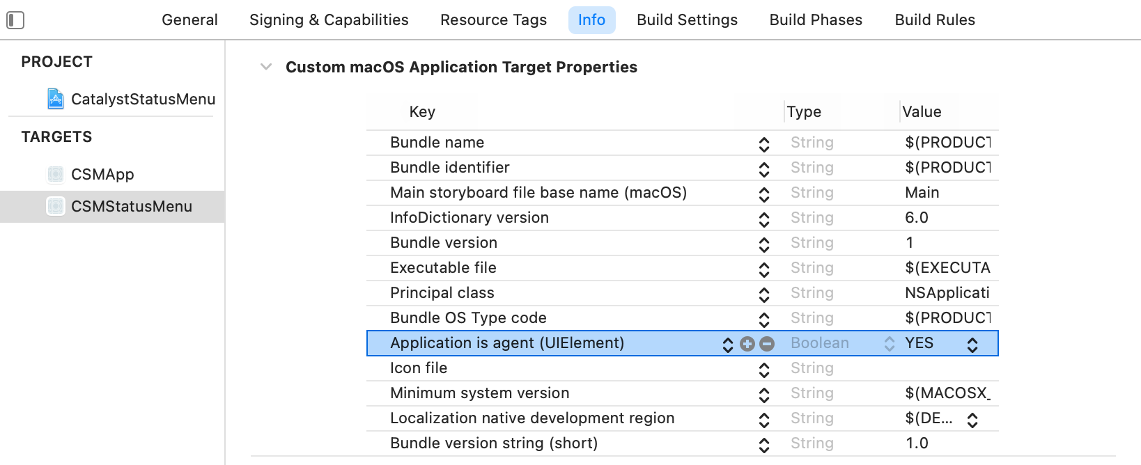 Screenshot of the Info tab of our new target in Xcode